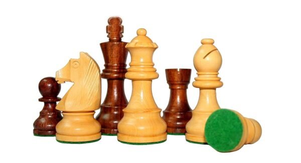 PCS Collectible Foldable Wooden Chess Game Board Set with Magnetic Premium Wood Pieces (12 Inch X 12 Inch) - Image 7
