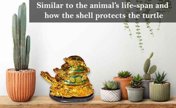 PCS Golden Turtle Family Set Of Feng Shui Dragon Tortoise with Child made of Polyresin-4 in Decorative Showpiece - 4 inch - Image 6
