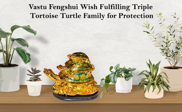 PCS Golden Turtle Family Set Of Feng Shui Dragon Tortoise with Child made of Polyresin-4 in Decorative Showpiece - 4 inch - Image 5